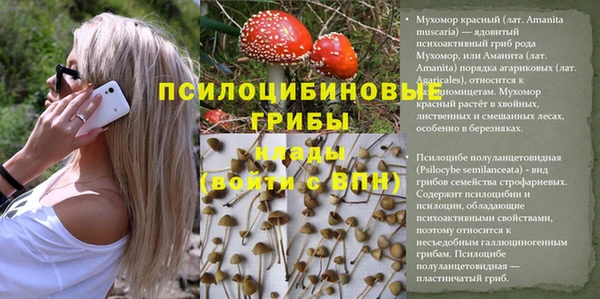 герыч Каменка
