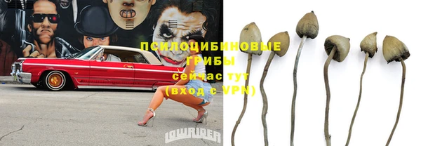 COCAINE Каменногорск
