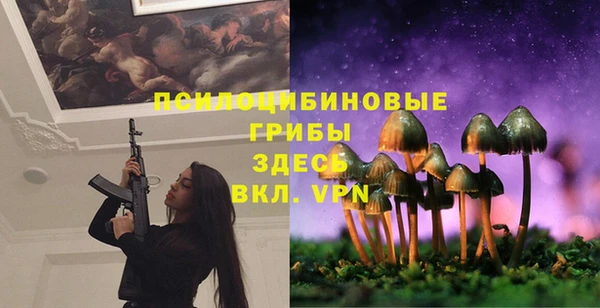 COCAINE Каменногорск
