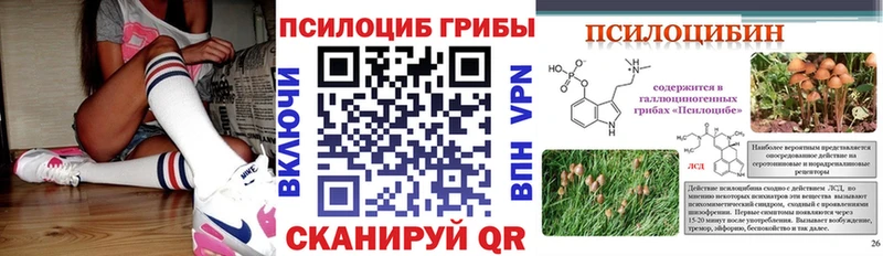 Галлюциногенные грибы мицелий Новомичуринск