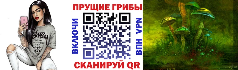 kraken онион  купить наркотик  Новомичуринск  Галлюциногенные грибы ЛСД 